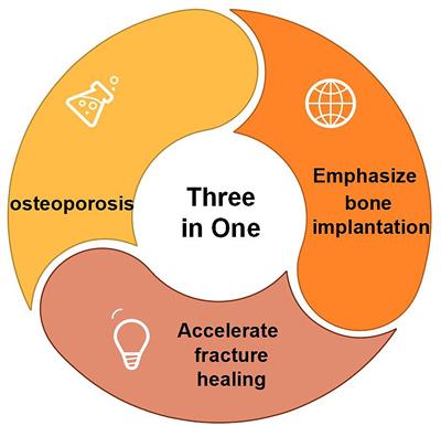 The “Three in One” Bone Repair Strategy for Osteoporotic Fractures